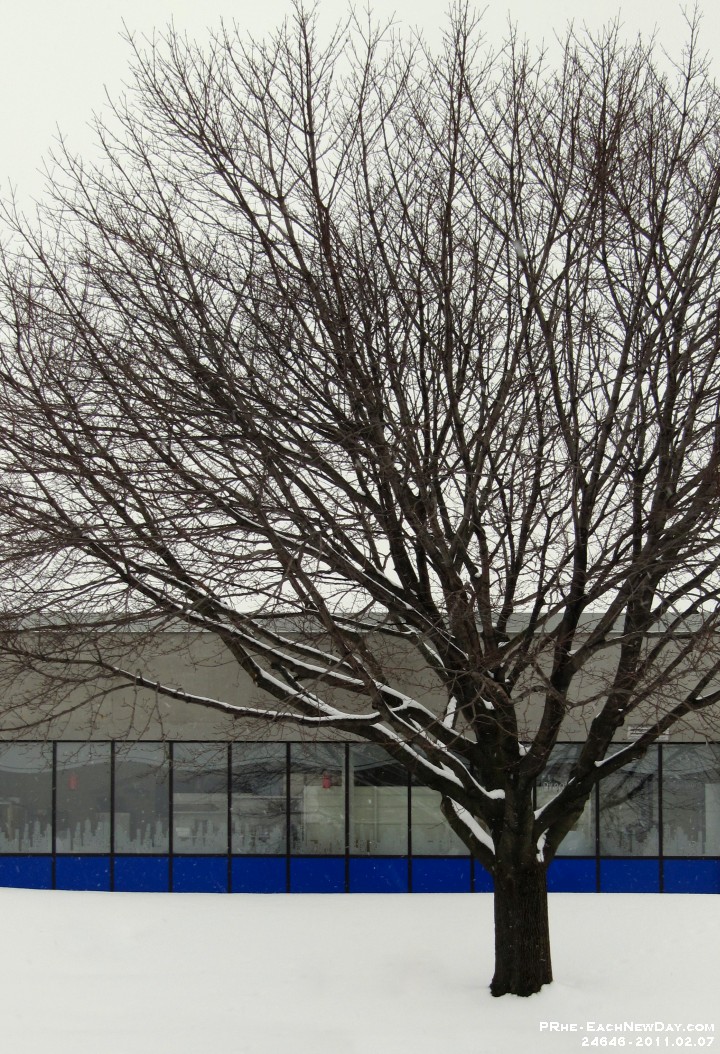 24646RoPeReCrLeReCr - February Monday afternoon, ELM